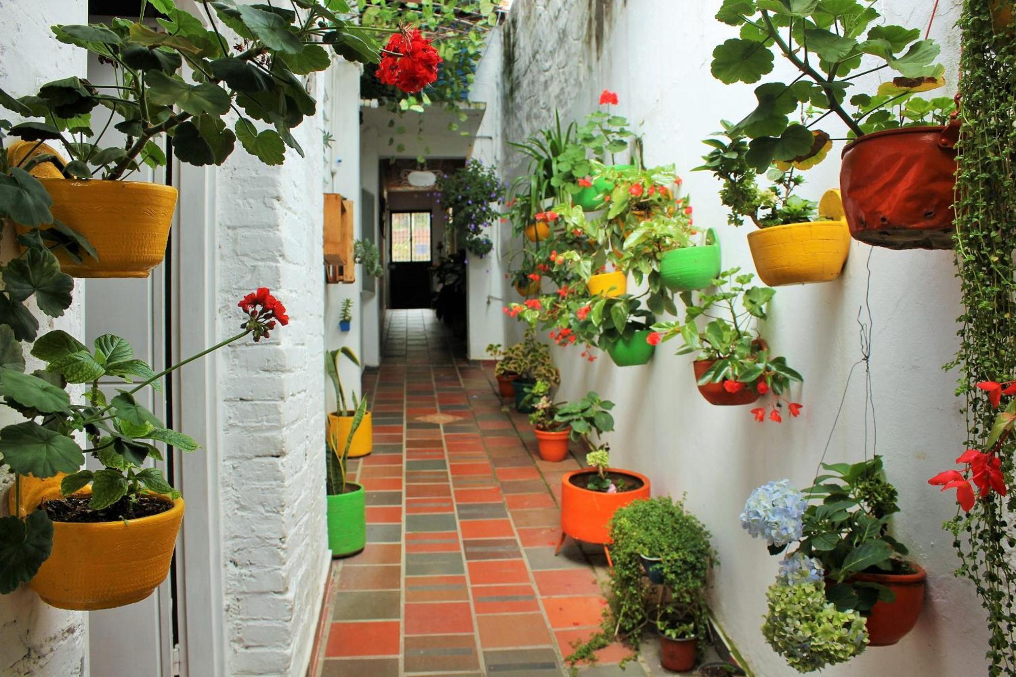 Hospedaje Los Capuchinos Socorro Bagian luar foto